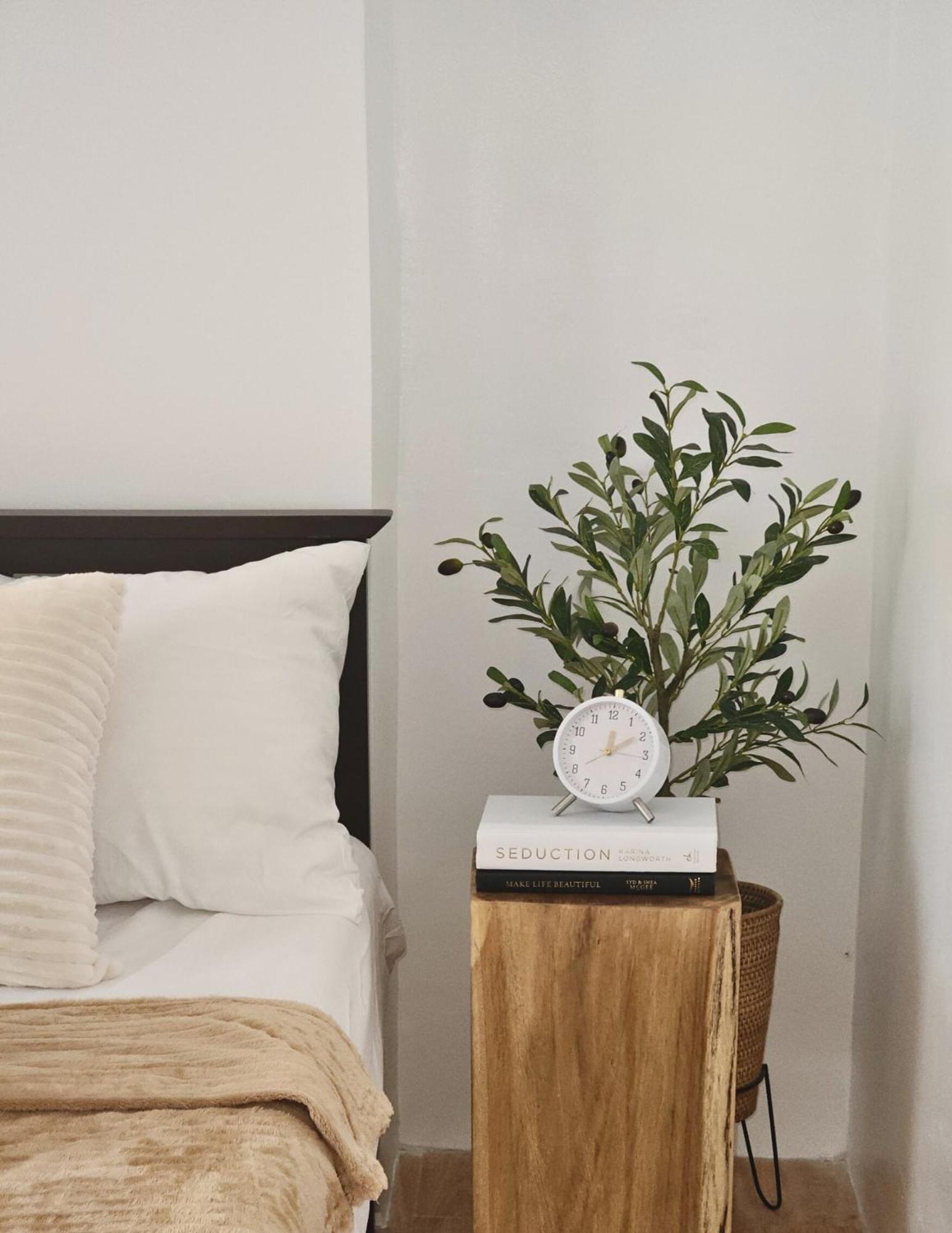 The Traveller'S Haven Airbnb Cebu Eksteriør billede